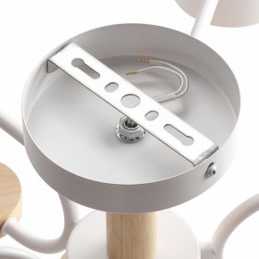 Люстра на штанге Lumion Rondo 8231/6C в Новом Уренгое - novyy-urengoy.mebel24.online | фото 6