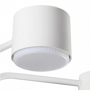 Люстра на штанге Lumion Rondo 8231/6C в Новом Уренгое - novyy-urengoy.mebel24.online | фото 7