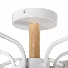 Люстра на штанге Lumion Rondo 8231/6C в Новом Уренгое - novyy-urengoy.mebel24.online | фото 8