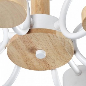 Люстра на штанге Lumion Rondo 8231/6C в Новом Уренгое - novyy-urengoy.mebel24.online | фото 9