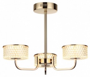 Люстра на штанге Lumion Venice 6579/40CL в Новом Уренгое - novyy-urengoy.mebel24.online | фото 5