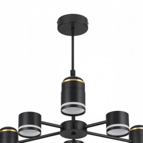 Люстра на штанге Lumion Virsava 8234/6C в Новом Уренгое - novyy-urengoy.mebel24.online | фото 5