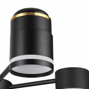 Люстра на штанге Lumion Virsava 8234/6C в Новом Уренгое - novyy-urengoy.mebel24.online | фото 8