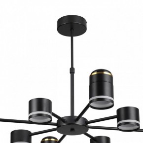 Люстра на штанге Lumion Virsava 8234/8C в Новом Уренгое - novyy-urengoy.mebel24.online | фото 5