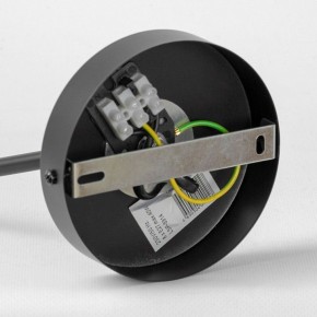 Люстра на штанге Lussole LSP-891 LSP-8914 в Новом Уренгое - novyy-urengoy.mebel24.online | фото 4