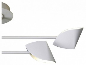 Люстра на штанге Mantra Capuccina 7574 в Новом Уренгое - novyy-urengoy.mebel24.online | фото 3