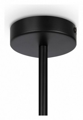 Люстра на штанге Maytoni Memory MOD177PL-04B в Новом Уренгое - novyy-urengoy.mebel24.online | фото 4