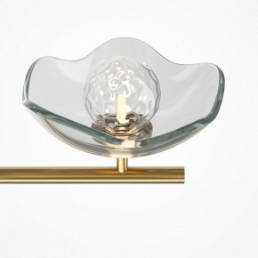 Люстра на штанге Maytoni Miracle MOD207PL-05BS в Новом Уренгое - novyy-urengoy.mebel24.online | фото 5