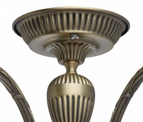 Люстра на штанге MW-Light Аманда 6 481011805 в Новом Уренгое - novyy-urengoy.mebel24.online | фото 10