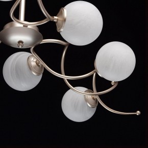 Люстра на штанге MW-Light Оливия 5 306012709 в Новом Уренгое - novyy-urengoy.mebel24.online | фото 10