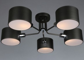 Люстра на штанге Omnilux Lisera OML-54507-05 в Новом Уренгое - novyy-urengoy.mebel24.online | фото 3