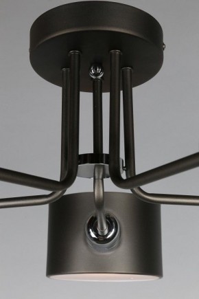 Люстра на штанге Omnilux Lisera OML-54507-05 в Новом Уренгое - novyy-urengoy.mebel24.online | фото 6