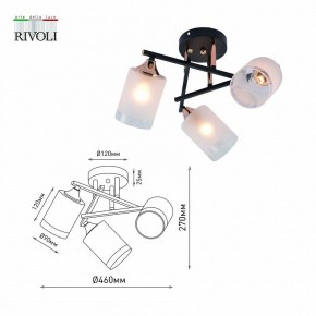 Люстра на штанге Rivoli Fiona Б0059259 в Новом Уренгое - novyy-urengoy.mebel24.online | фото