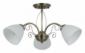Люстра на штанге Rivoli Sue Б0060985 в Новом Уренгое - novyy-urengoy.mebel24.online | фото