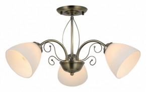Люстра на штанге Rivoli Sue Б0060985 в Новом Уренгое - novyy-urengoy.mebel24.online | фото 2