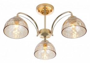 Люстра на штанге Rivoli Terri Б0060988 в Новом Уренгое - novyy-urengoy.mebel24.online | фото