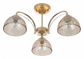 Люстра на штанге Rivoli Terri Б0060988 в Новом Уренгое - novyy-urengoy.mebel24.online | фото 2