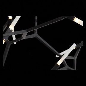 Люстра на штанге ST-Luce Laconicita SL947.402.20 в Новом Уренгое - novyy-urengoy.mebel24.online | фото 12