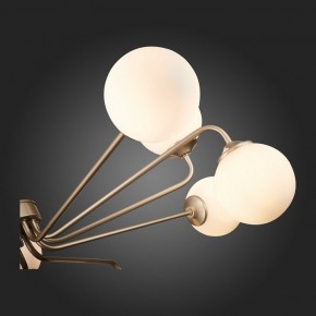 Люстра на штанге ST-Luce Redjino SLE106203-12 в Новом Уренгое - novyy-urengoy.mebel24.online | фото 7