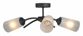 Люстра на штанге Vitaluce V2850 V2850-1/3PL в Новом Уренгое - novyy-urengoy.mebel24.online | фото