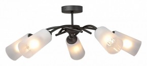 Люстра на штанге Vitaluce V2850 V2850-1/5PL в Новом Уренгое - novyy-urengoy.mebel24.online | фото