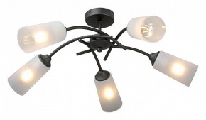 Люстра на штанге Vitaluce V2850 V2850-1/5PL в Новом Уренгое - novyy-urengoy.mebel24.online | фото 2