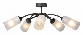Люстра на штанге Vitaluce V2850 V2850-1/5PL в Новом Уренгое - novyy-urengoy.mebel24.online | фото 3