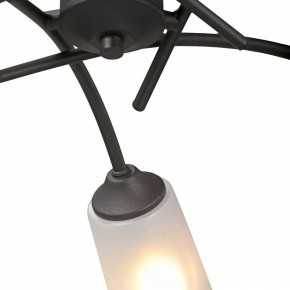 Люстра на штанге Vitaluce V2850 V2850-1/5PL в Новом Уренгое - novyy-urengoy.mebel24.online | фото 6