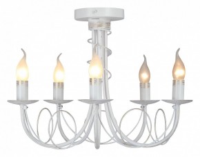 Люстра на штанге Vitaluce V3035 V3035-0/5PL в Новом Уренгое - novyy-urengoy.mebel24.online | фото 2