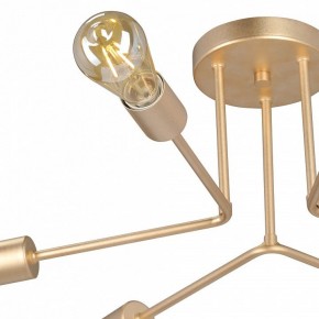 Люстра на штанге Vitaluce V3071 V3071-8/6PL в Новом Уренгое - novyy-urengoy.mebel24.online | фото 6