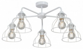 Люстра на штанге Vitaluce V3102 V3102-0/5PL в Новом Уренгое - novyy-urengoy.mebel24.online | фото