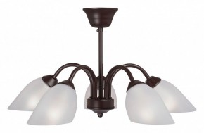 Люстра на штанге Vitaluce V3335 V3335-7/5PL в Новом Уренгое - novyy-urengoy.mebel24.online | фото