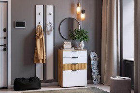 МЕБЕЛЬСОН К21 Прихожая в Новом Уренгое - novyy-urengoy.mebel24.online | фото
