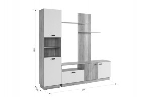 МОДИ К1 Гостиная (белое дерево) в Новом Уренгое - novyy-urengoy.mebel24.online | фото 2