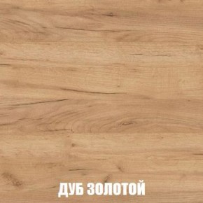 МСП-1 Шкаф 2-х створчатый (Дуб Золотой/Камень темный) в Новом Уренгое - novyy-urengoy.mebel24.online | фото 4