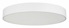 Накладной светильник Arlight TOR PILL 022132(4) в Новом Уренгое - novyy-urengoy.mebel24.online | фото