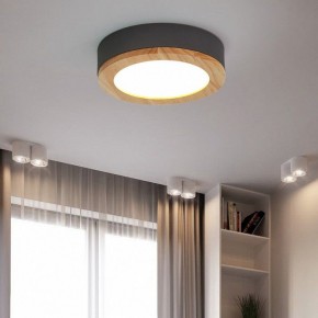 Накладной светильник Imperiumloft Wudda Серый WUDDA01 в Новом Уренгое - novyy-urengoy.mebel24.online | фото 4