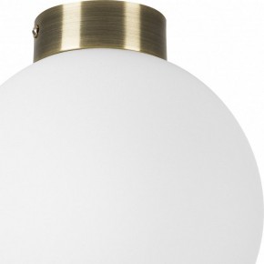 Накладной светильник Lightstar Globo 812021 в Новом Уренгое - novyy-urengoy.mebel24.online | фото 3