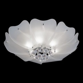 Накладной светильник Lightstar Lobo 804020 в Новом Уренгое - novyy-urengoy.mebel24.online | фото 2