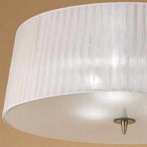 Накладной светильник Mantra Loewe 4740 в Новом Уренгое - novyy-urengoy.mebel24.online | фото 3