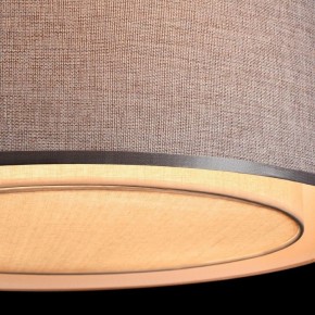 Накладной светильник Maytoni Bergamo MOD613CL-04GR в Новом Уренгое - novyy-urengoy.mebel24.online | фото 10