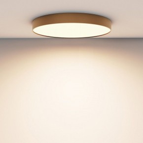 Накладной светильник Maytoni Zon C032CL-90W3K-RD-MG в Новом Уренгое - novyy-urengoy.mebel24.online | фото 4