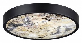 Накладной светильник Odeon Light Bergi 5064/30L в Новом Уренгое - novyy-urengoy.mebel24.online | фото 4