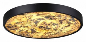 Накладной светильник Odeon Light Bergi 5064/40L в Новом Уренгое - novyy-urengoy.mebel24.online | фото 2