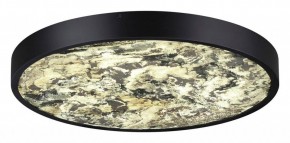 Накладной светильник Odeon Light Bergi 5064/40L в Новом Уренгое - novyy-urengoy.mebel24.online | фото 3