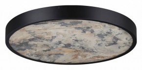 Накладной светильник Odeon Light Bergi 5064/40L в Новом Уренгое - novyy-urengoy.mebel24.online | фото 6