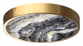 Накладной светильник Odeon Light Bergi 5079/30L в Новом Уренгое - novyy-urengoy.mebel24.online | фото 3
