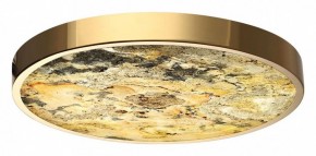 Накладной светильник Odeon Light Bergi 5079/40L в Новом Уренгое - novyy-urengoy.mebel24.online | фото 2