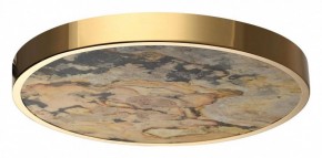 Накладной светильник Odeon Light Bergi 5079/40L в Новом Уренгое - novyy-urengoy.mebel24.online | фото 4