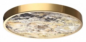 Накладной светильник Odeon Light Bergi 5079/40L в Новом Уренгое - novyy-urengoy.mebel24.online | фото 6